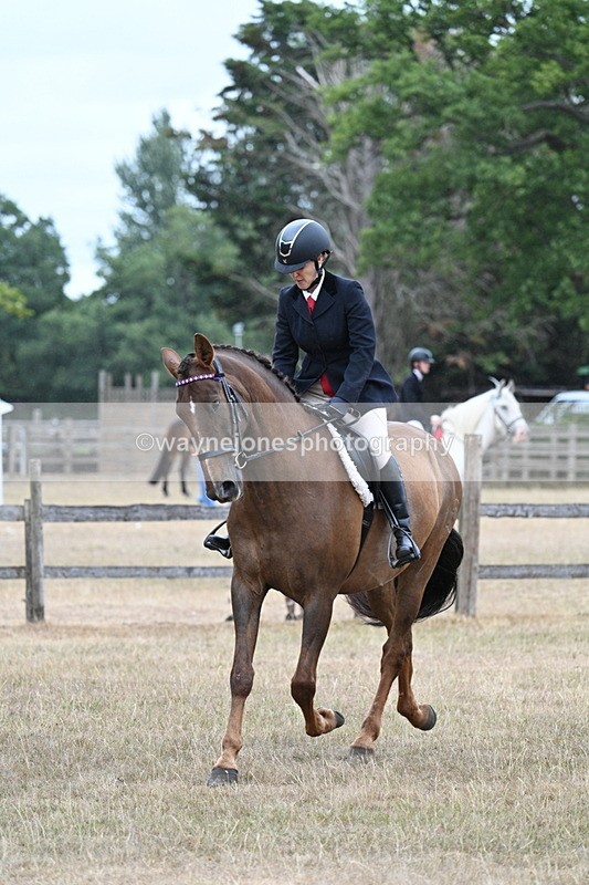 WJ7_0862 - Class 7 Riding Club Show Horse