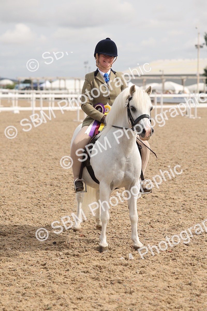 SBM_04594 - Class 19 - Horse/Pony Judge would most like to take home