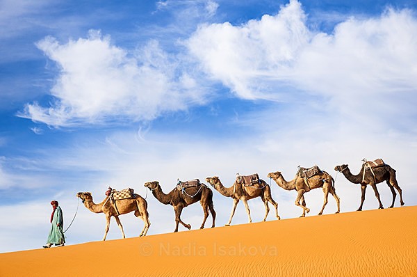  - Morocco
