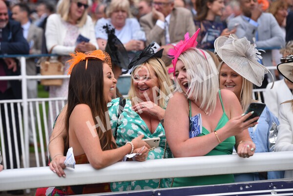 yr18082022r6-28 - Race 6 4.45 pm OR8wellness ebfstallions Nursery Handicap
