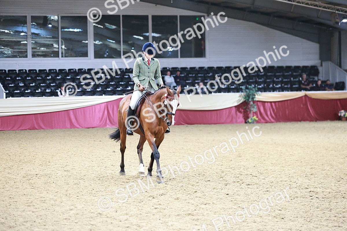 SBM_03523 - Class 6A Area Ridden Pre-Vet