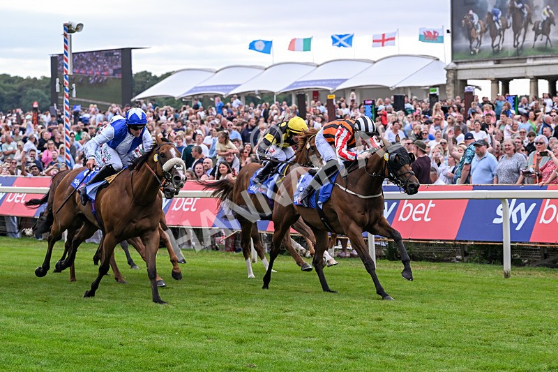250726-Race 1-Kodiac Thriller-6738 - Race 1 13.30pm Sky Bet 'Jump Jockeys' Nunthorpe' Handicap