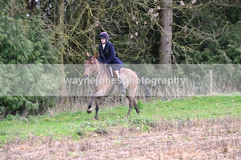 WJ6_9532 - Line Four