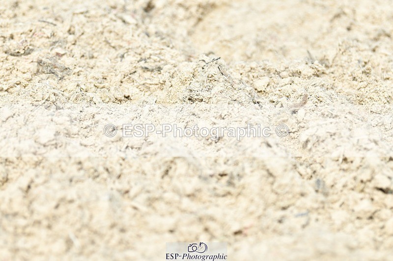 230623-110549-02091 - Cls 2 Prelim 19Q 10.20 to End