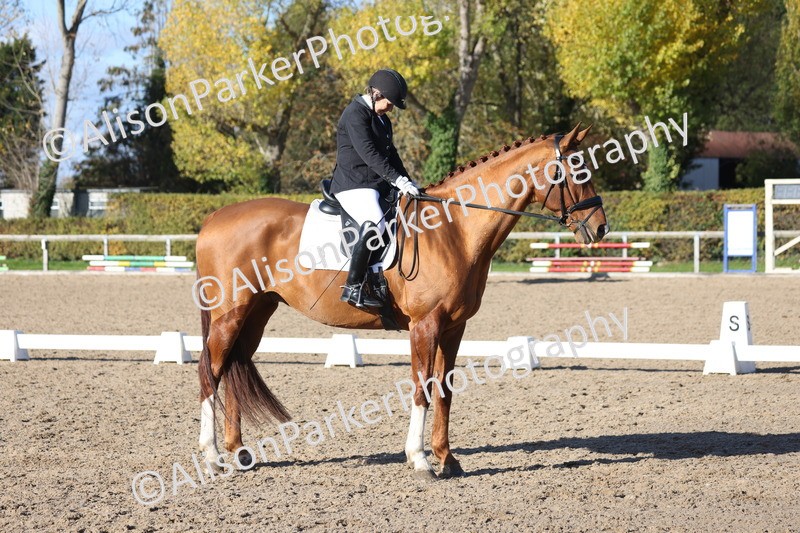 20251102-0961 - Class 5 - Elementary 5