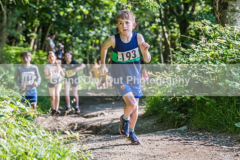 Latrigg Junior-13 - Round Latrigg Junior Fell Races Wednesday 11th June 2025