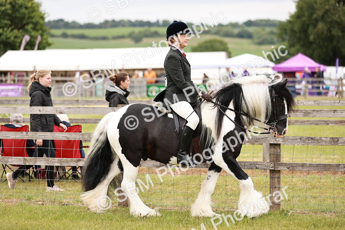 SBM_06084 - Class 39-41 TGCA In Hand and Ridden