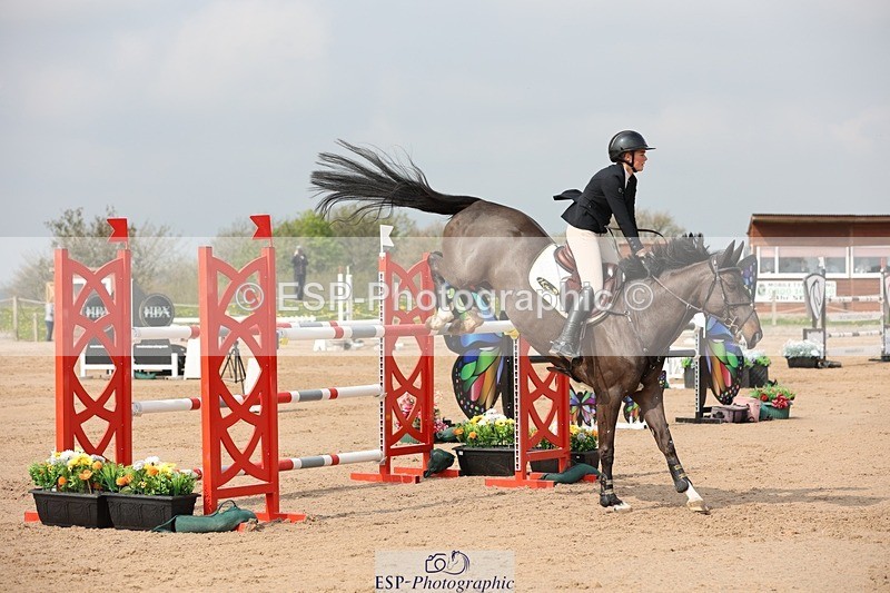 250424-105631-03309 - Cls 33 Young Horse 7yr old