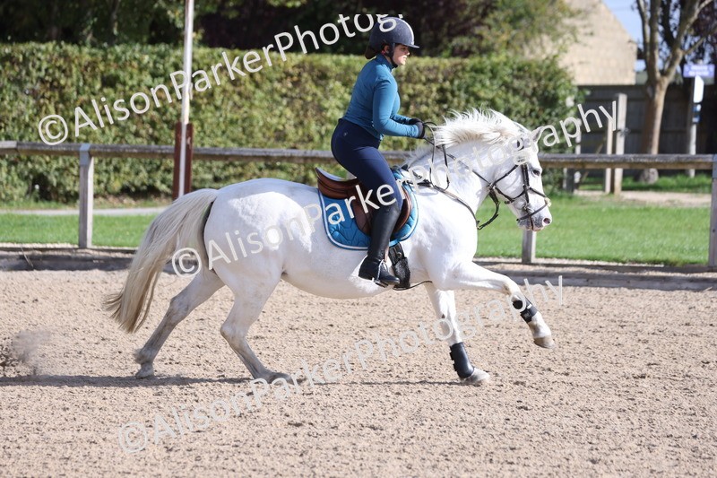 20251005-0332 - Class 3 - 60cm