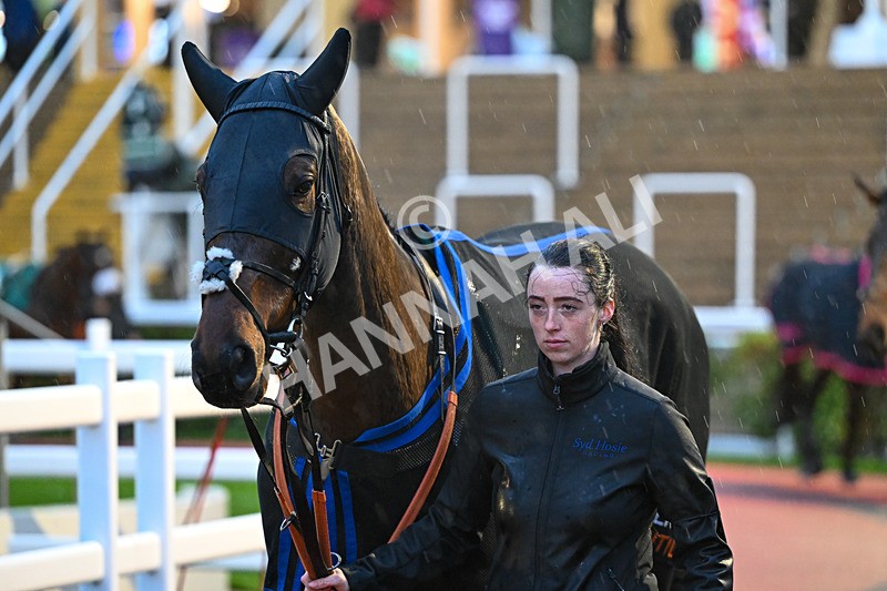 141125-Race 6-Sage Green-1122 - Race 6