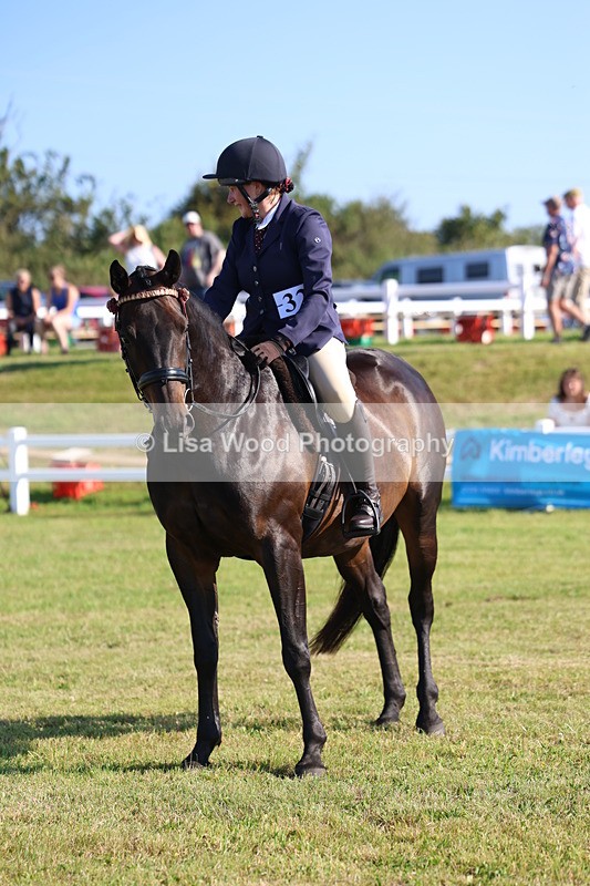 3E7A5470 - Class 2: Rising Star Large Hack/Riding Horse