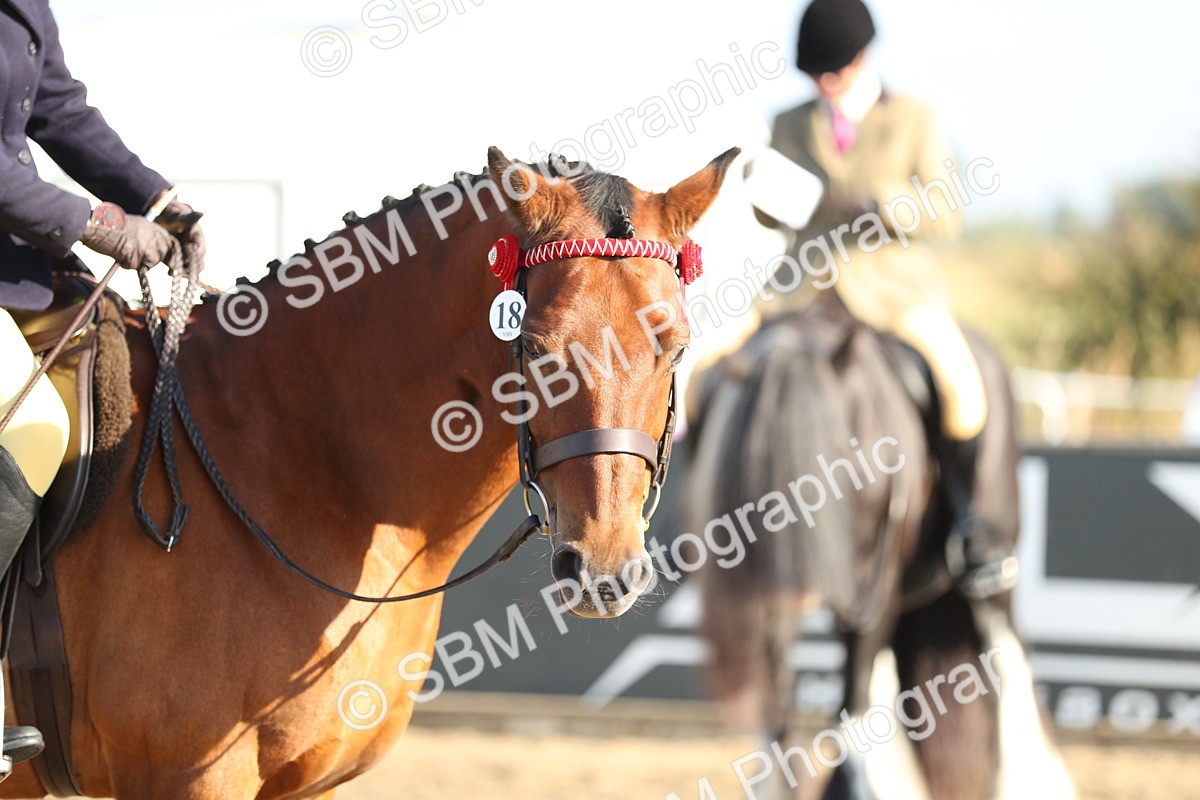 SBM_00436 - Class 41 Best Turned Out Ridden
