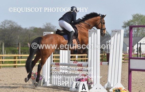 BPP_3747 - CLASS 3 Senior British Novice/ 90cm Open
