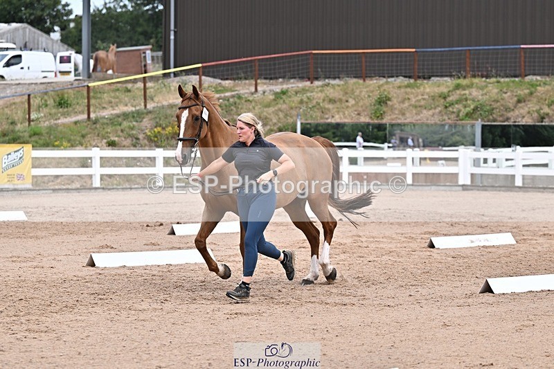 250716-133407-00575 - Trot Up 1.30 to 2.30