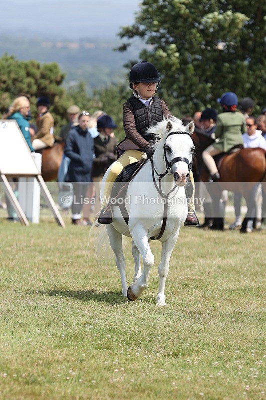 JPP_1825 - Class 18: Tiny Tots Working Hunter Pony