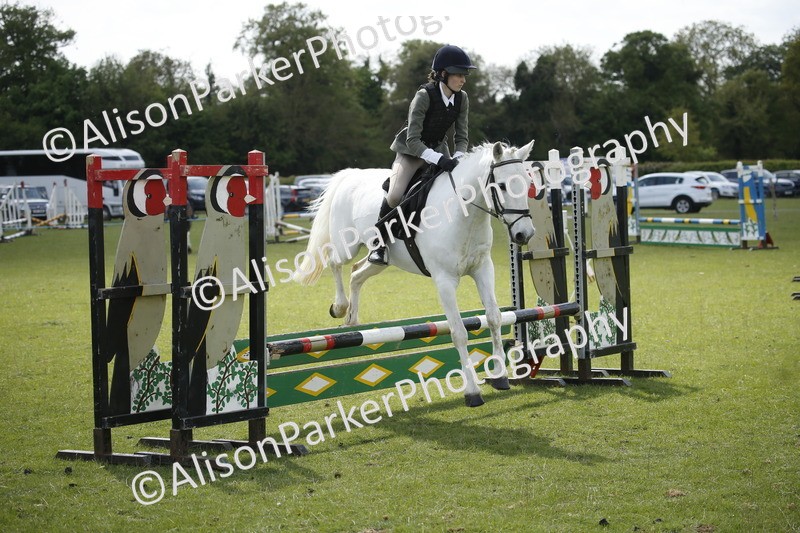 20250427-3766 - Class 14 - Absolute Novice 70cm