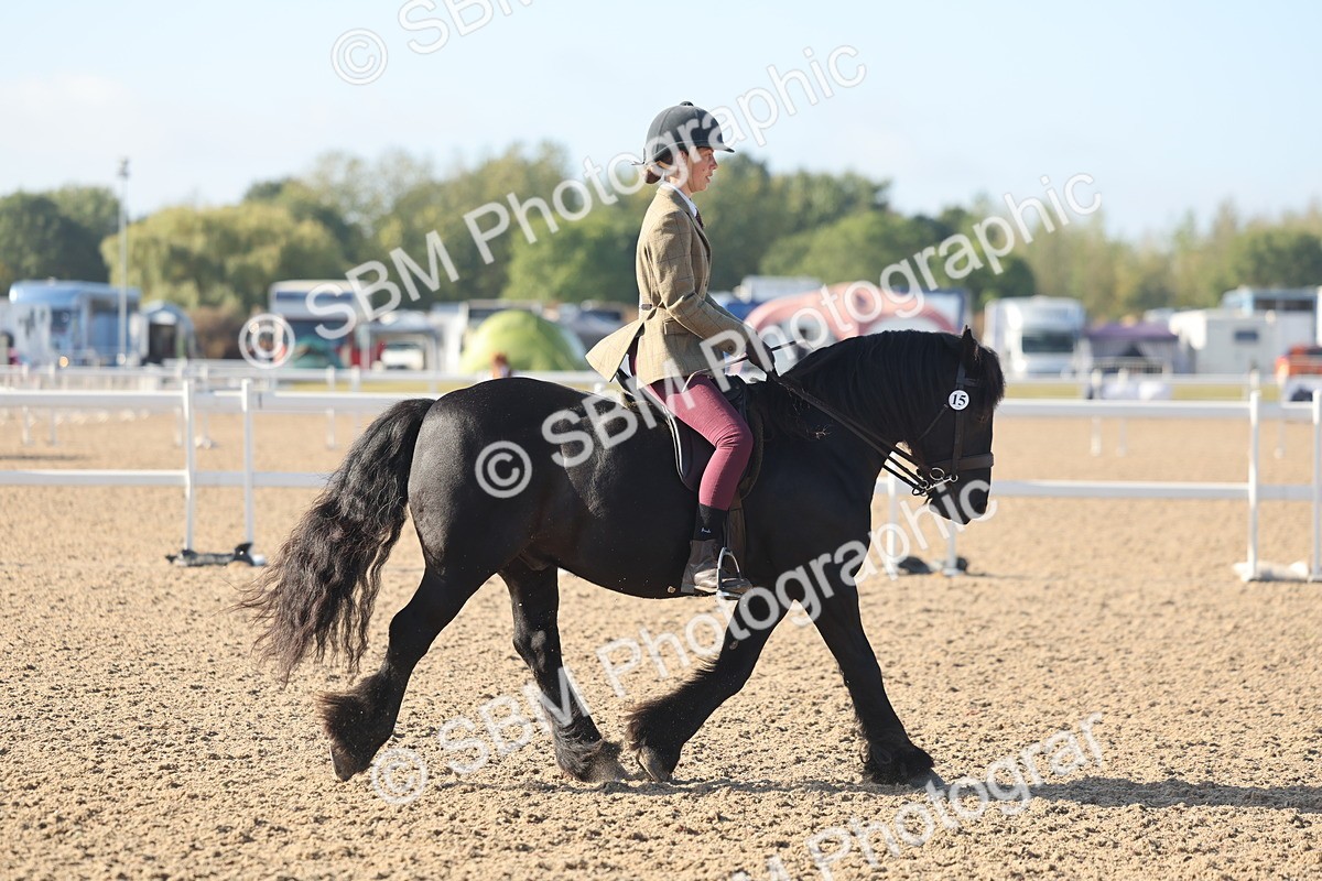 SBM_22169 - Class 802 - Ridden Groom Helpers Class