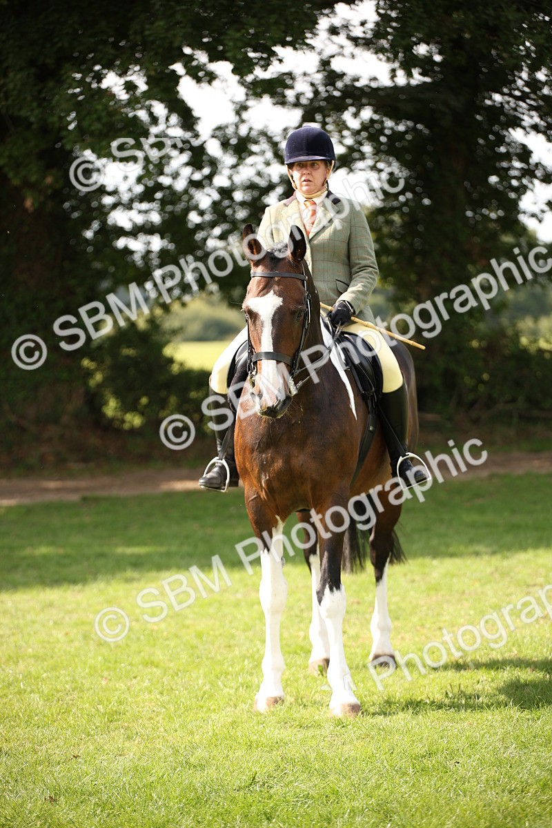 SBM_70099 - S65 - Piebald & Skewbald Horse Ridden