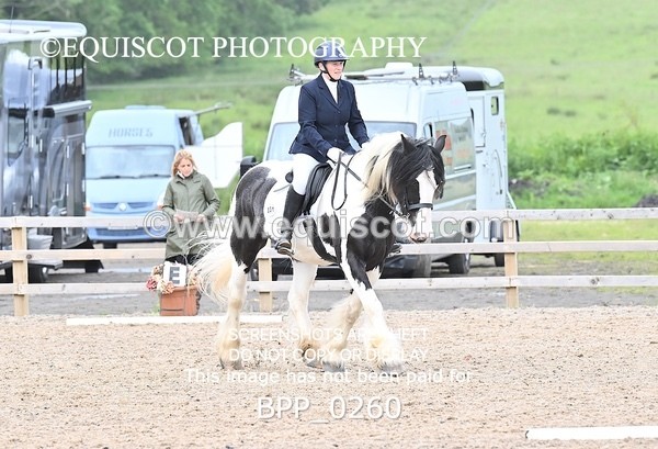 BPP_0260 - 31 E WYLLIE