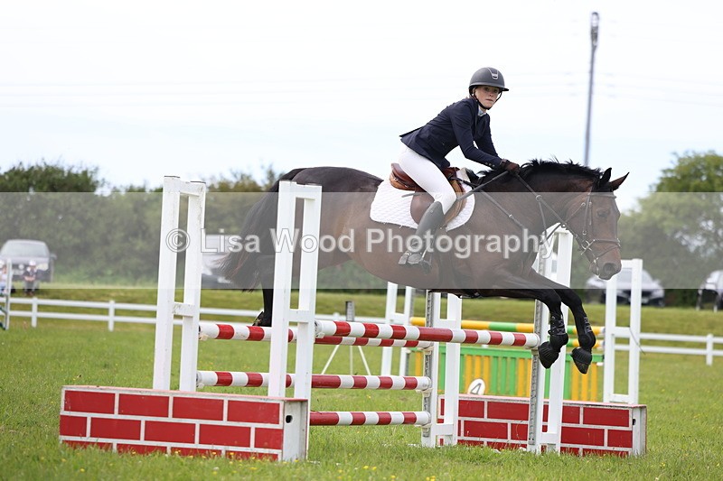 3E7A1800 - Class 13: Senior British Novice/90cm open