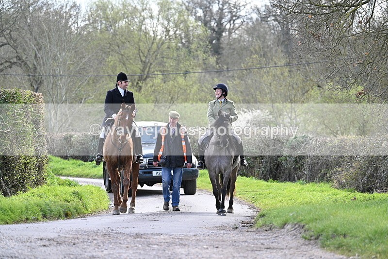 WJ7_9931 - Walk Home