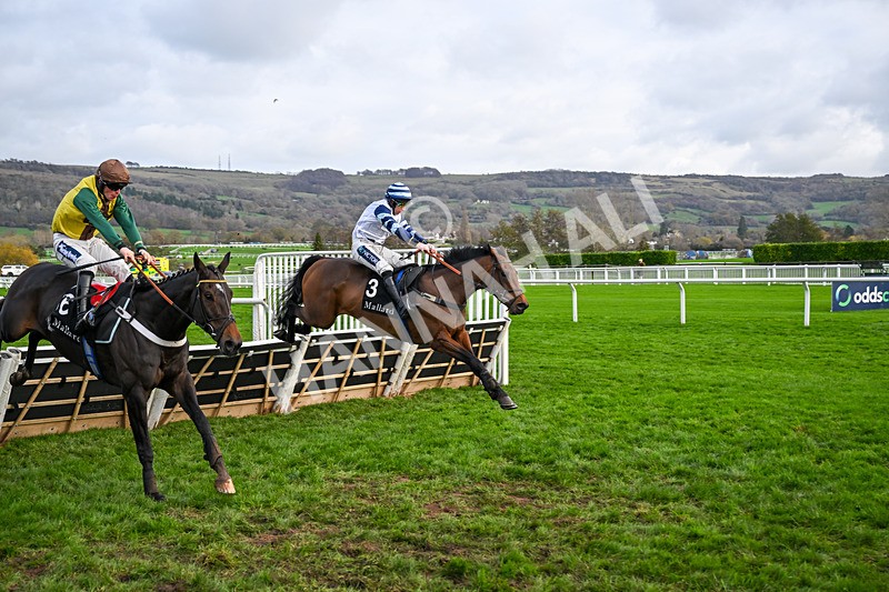 161125-Race 1-Bespoke Tailor-5609 - Race 1