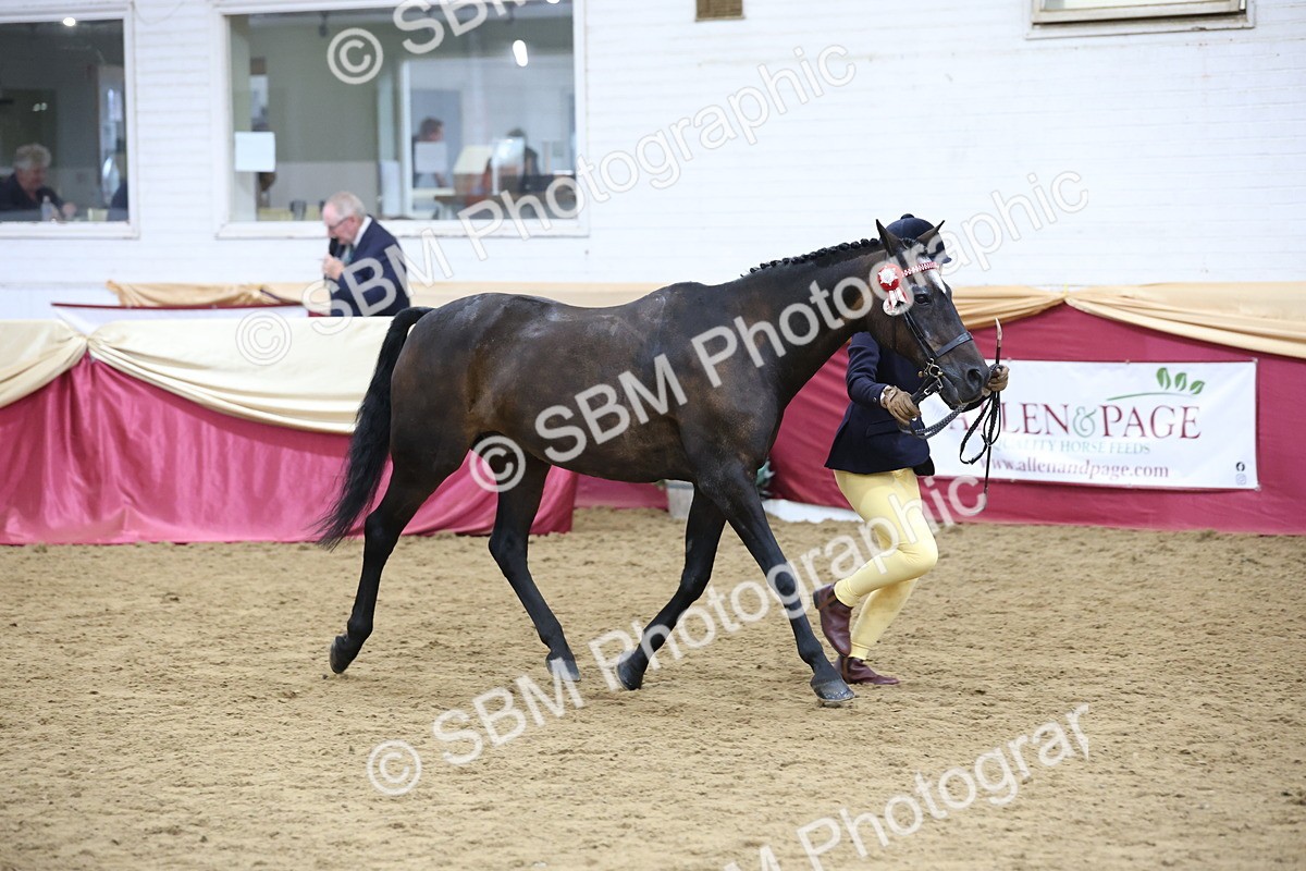 SBM_23611 - Class 904 - Supreme Final - Ridden Diamond