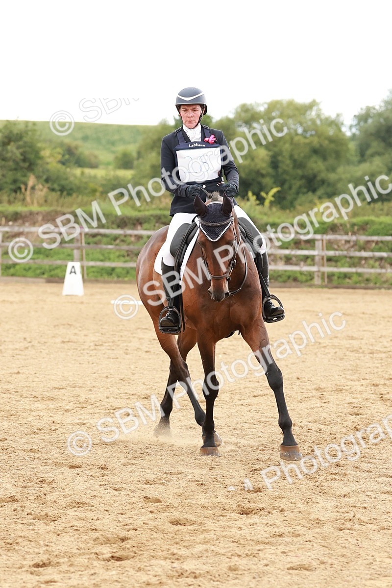 SBM_002790 - Novice 2