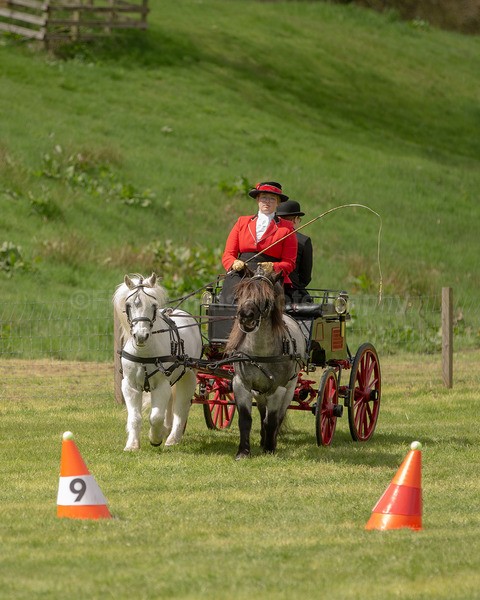 Attelage -938 - CIAT Glamis 2026