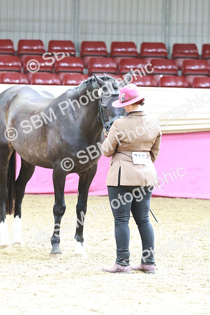 SBM_04856 - Class 7R - Regional IH Diamond