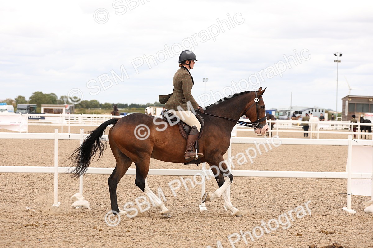 SBM_17221 - Class 213 - Ridden Hunter - Large