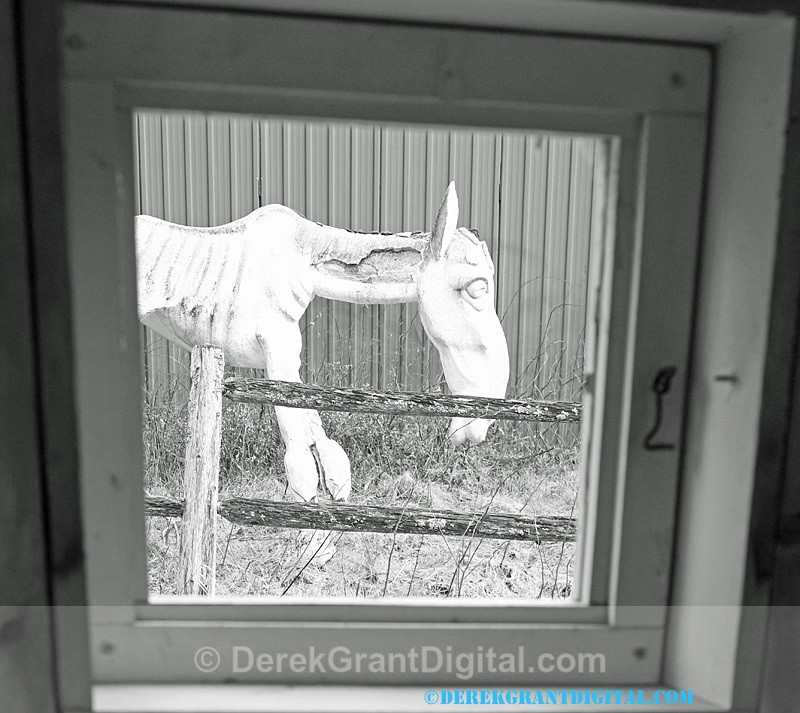 Animaland Sussex New Brunswick Canada - Animaland