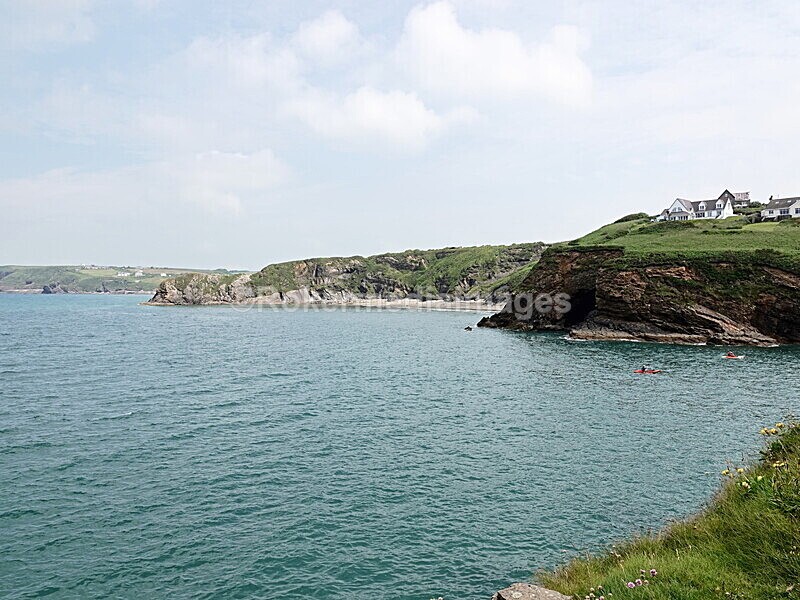 DSC00145 - Skomer 2019