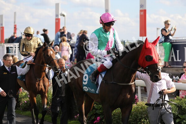 yr20082022r7-10 - Race 7 5.20pm Sky Bet Finale Stakes