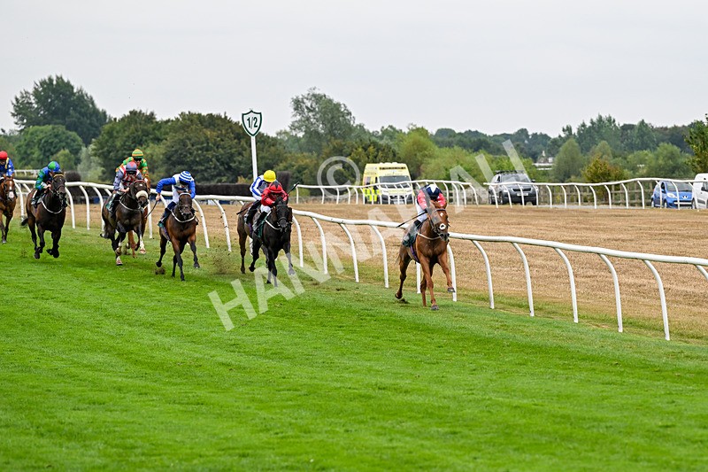 170826-Race 5-Our Absent Friends-9711 - Race 5 16.15pm racingtv.com Handicap