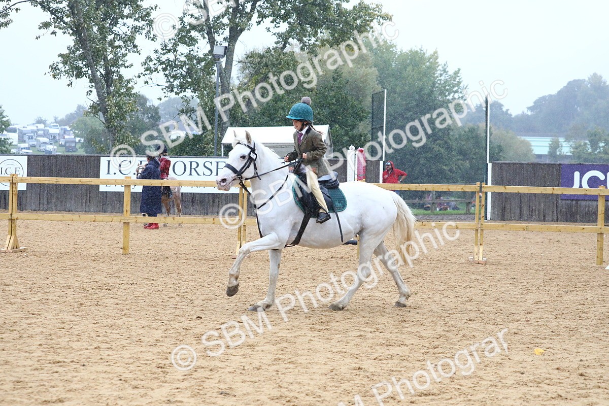 SBM_71463 - J4 - Mini Tour Junior Pony 45cm Championship
