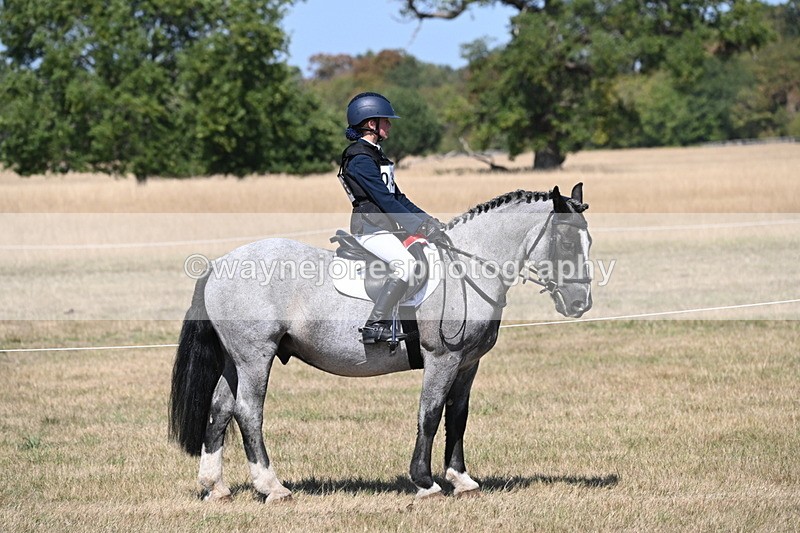 WJ6_9171 - Championship Classes 33-38