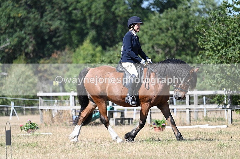 WJ7_0750 - Time 12:03 to 12:23