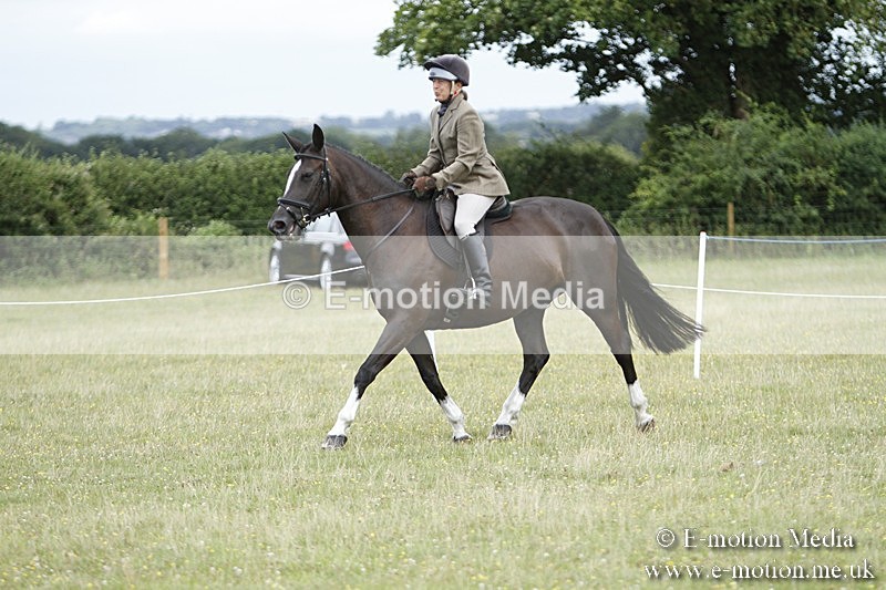 BVR160717-1791 - Ring 3 BVRC Show 16/07/17