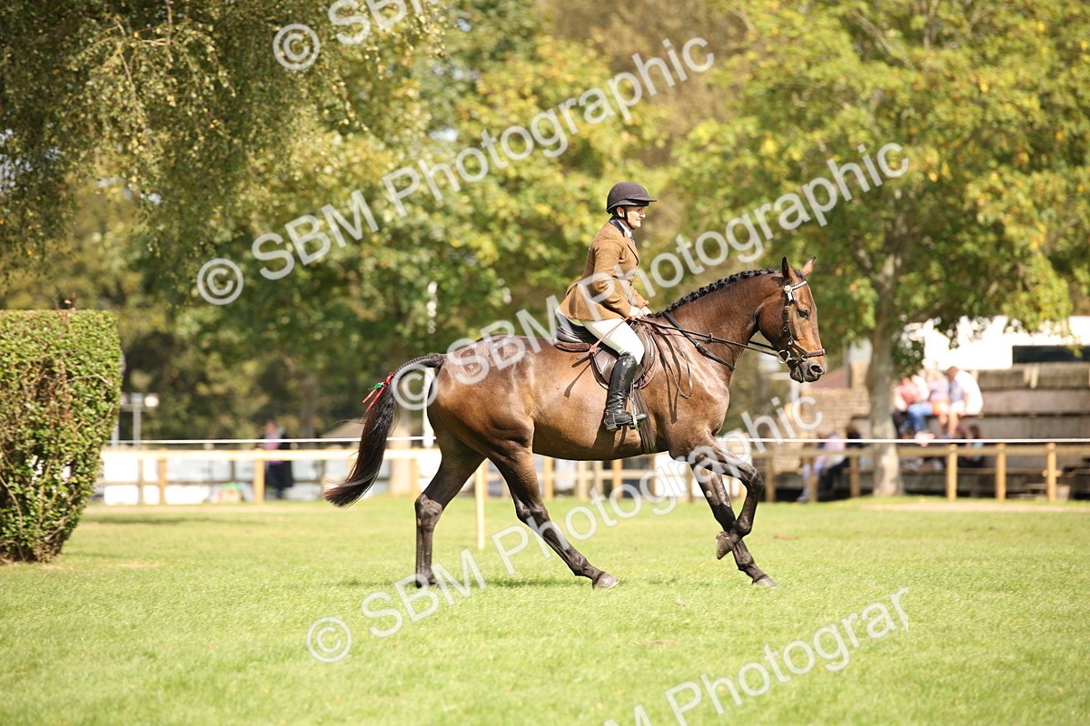 SBM_65963 - S64 - Riding Horse & Hack & Thoroughbred Ridden