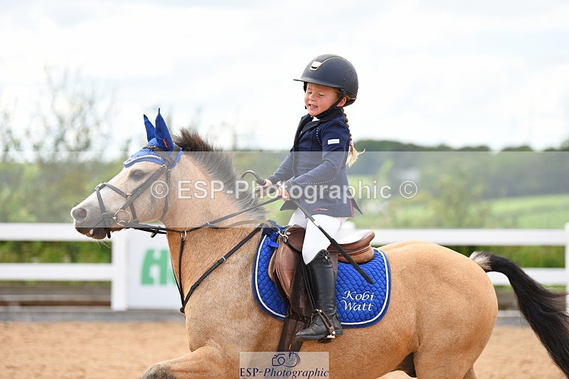 230815A-145948-00008 - 50cm