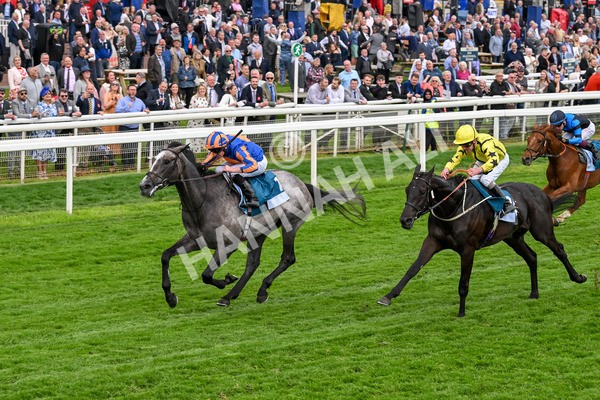 160524-Race 7-London City-6867 - Race 7 5.20pm Collective Green Energy Handicap