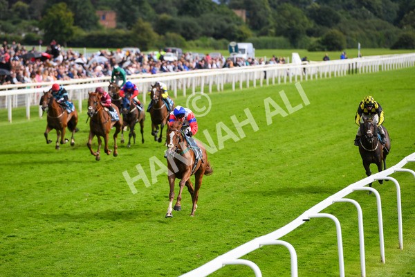 150723-Race 6-Robert Johnson-0633 - Race 6 4.55pm John Smith's Stayers' Handicap