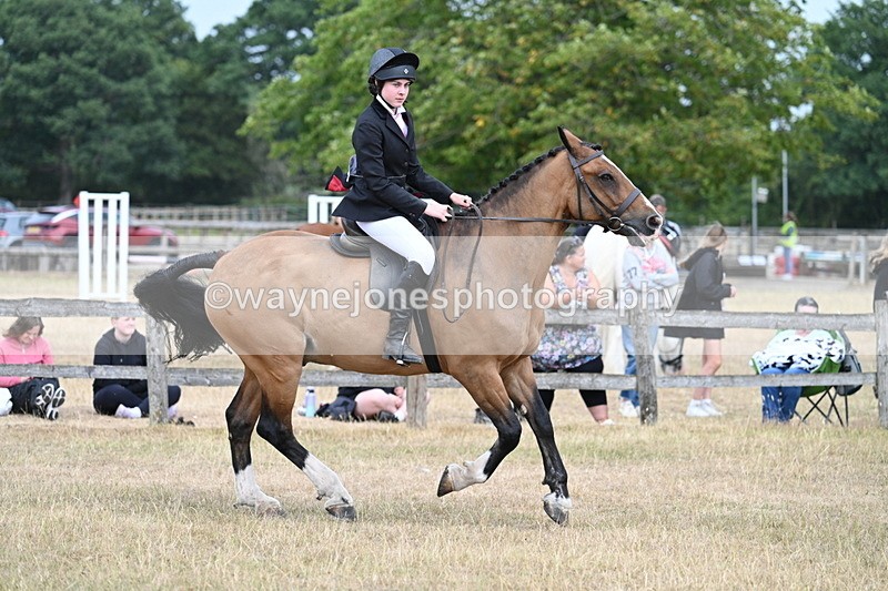WJ7_1233 - Class 8 Ridden Veterans