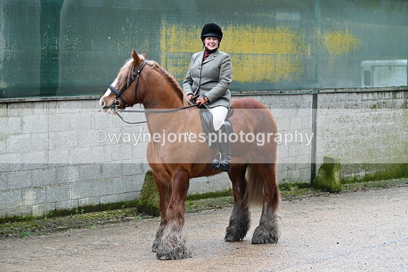 WJ7_8702 - Berks & Bucks - Rowles Farm 15-02-26