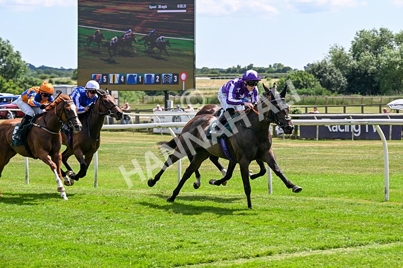 080726-Race 2-Penny Capri-6855 - Race 2 14.30pm Download The Raceday Ready App Nursery Handicap