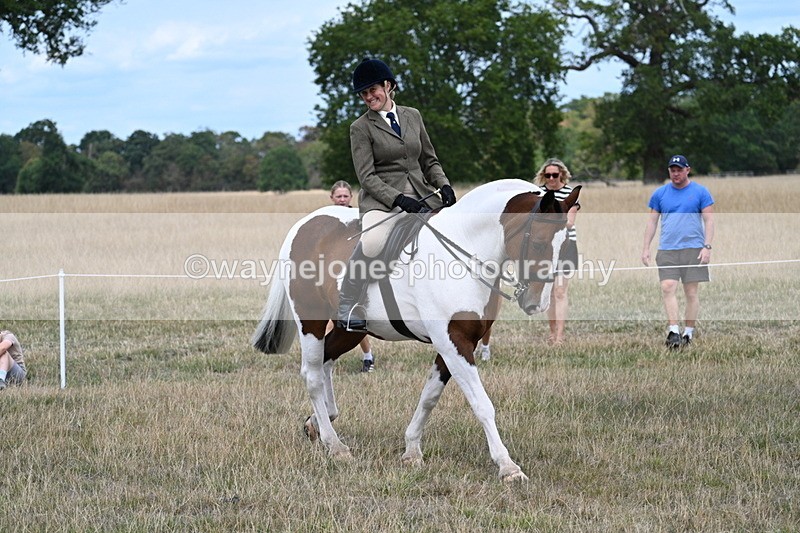 WJ7_4626 - Class 12 Ridden Cob