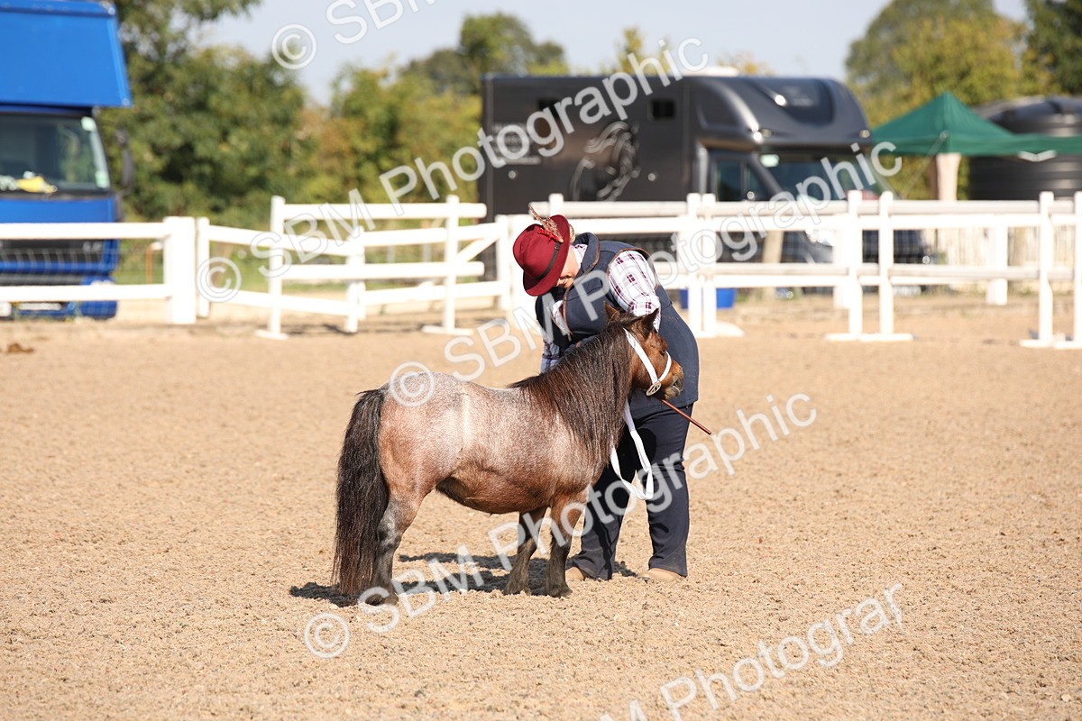 SBM_02699 - Class 16 IH M&M Wildcard