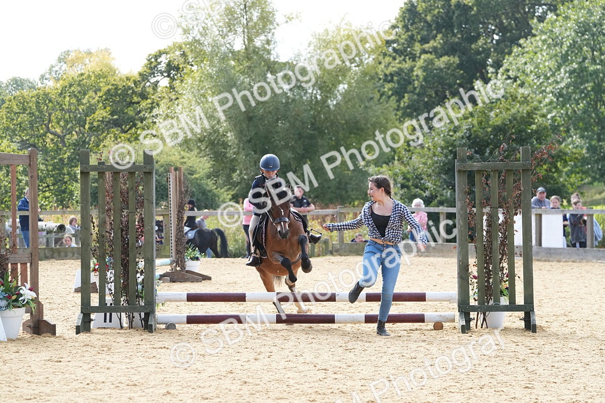 SBM_68422 - J3 - Mini Tour Junior Pony 40cm Championship