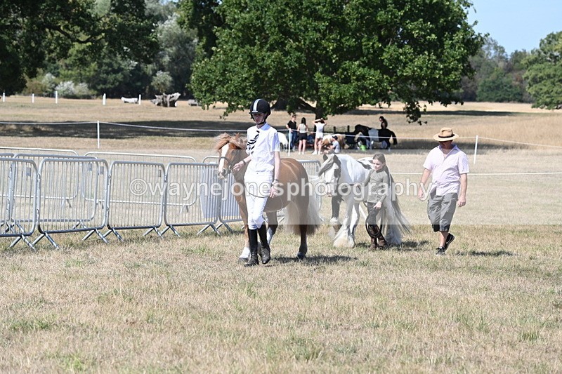 WJ6_9464 - Class 40 Cheekiest Pony/Horse